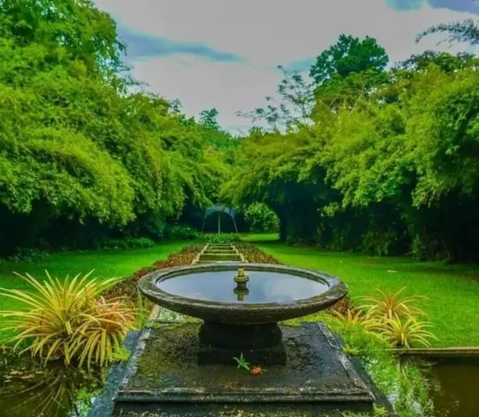 Brief Garden