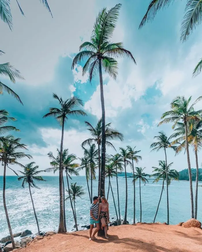 Coconut Tree Hill