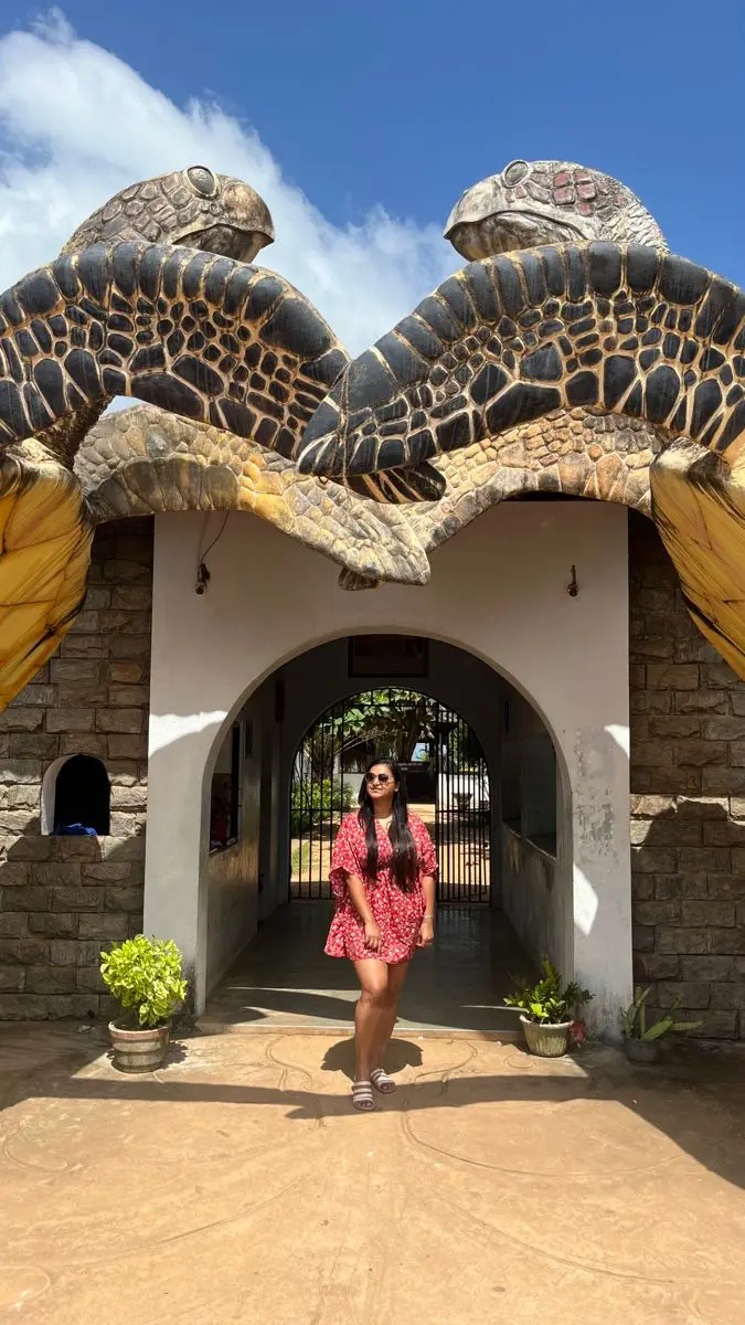 Kosgoda Turtle Hatchery