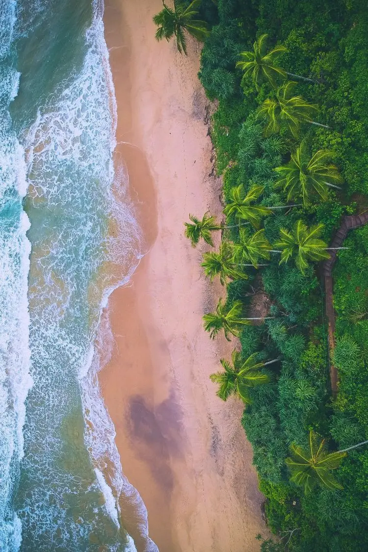 Bentota
