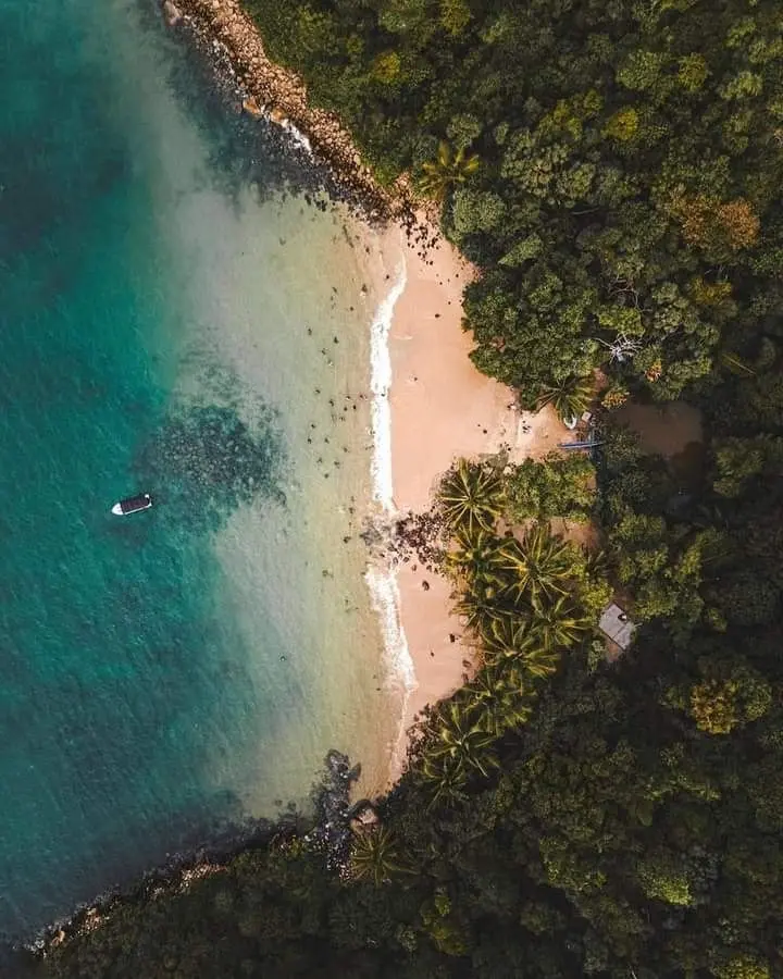 Jungle Beach